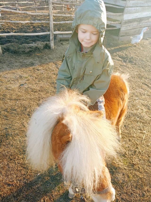 Веселая ферма: Забава. Знакомство