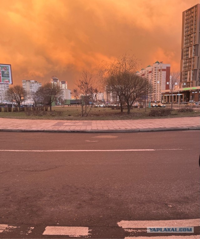 Москву завалило снегом. В столицу вернулась зима из-за циклона «Зион»