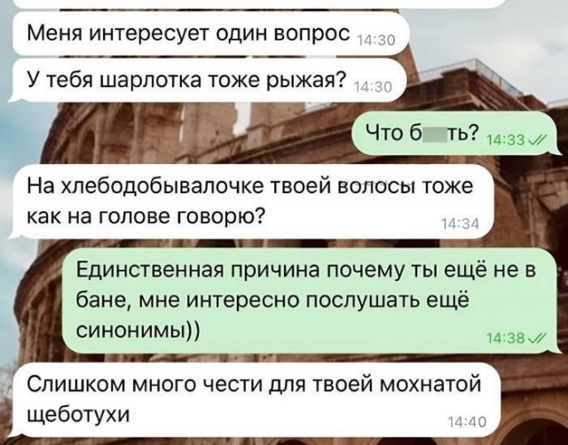 Весёлый полтишок 14.05.25.