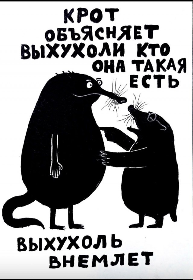 Прикольные и просто красивые картинки 23.05.2025