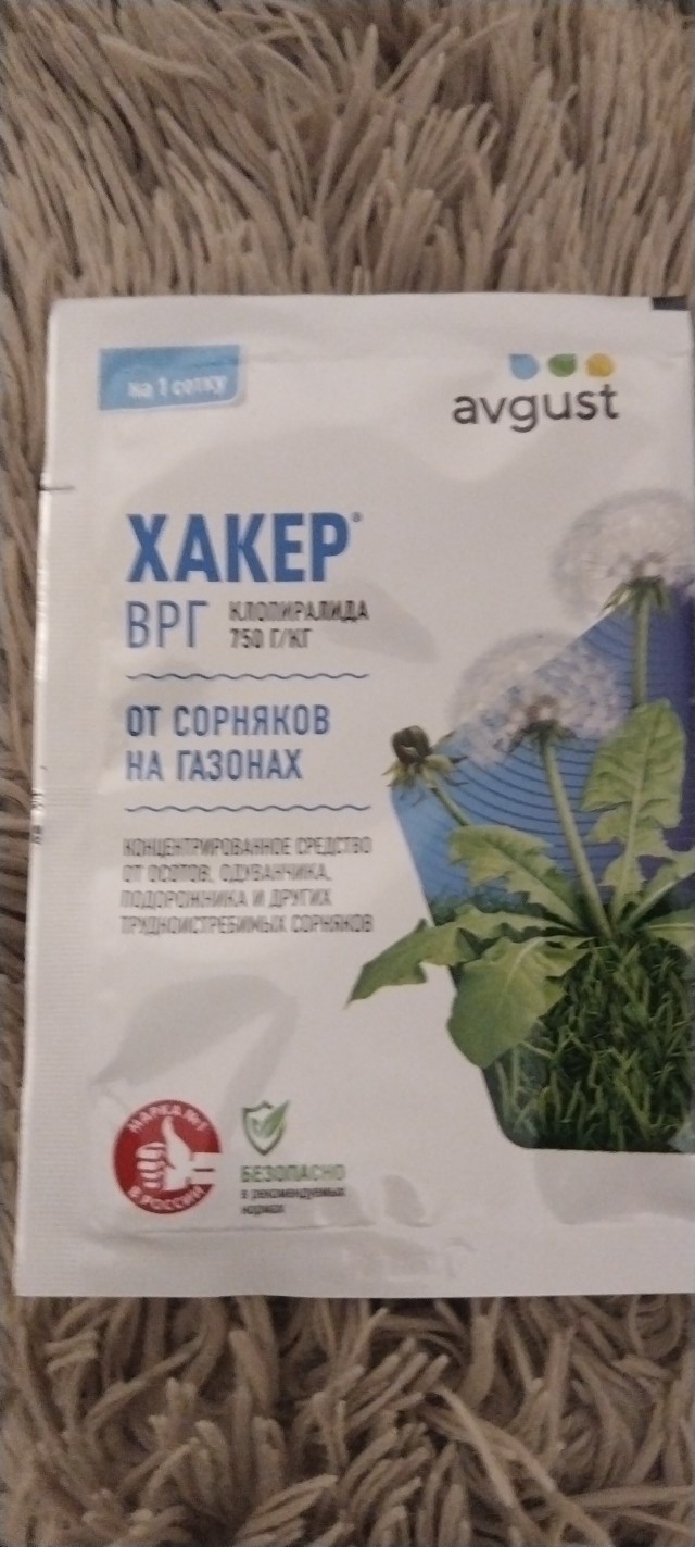 Просто сад, просто газон