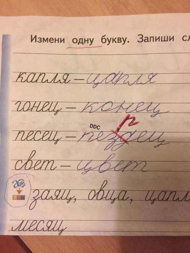 20223842.jpg