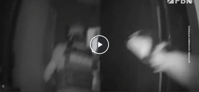 В Санкт-Петербурге задержали пилотов частного самолета, пролетевшего над пляжем Ладожского озера в опасной близости к отдыхающим