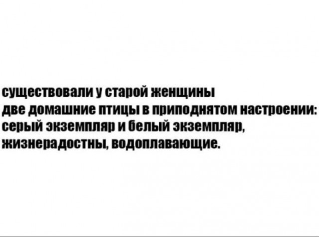 Так себе картинки 24.08.25