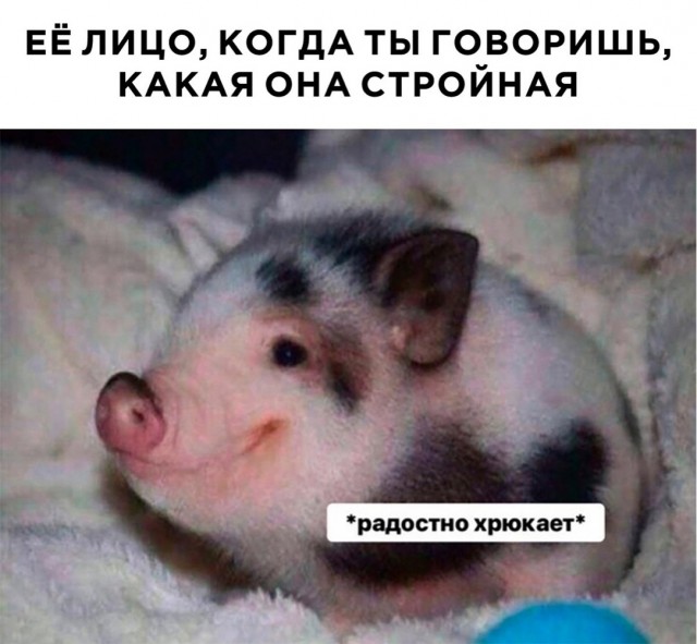Картинки для бодрости духа