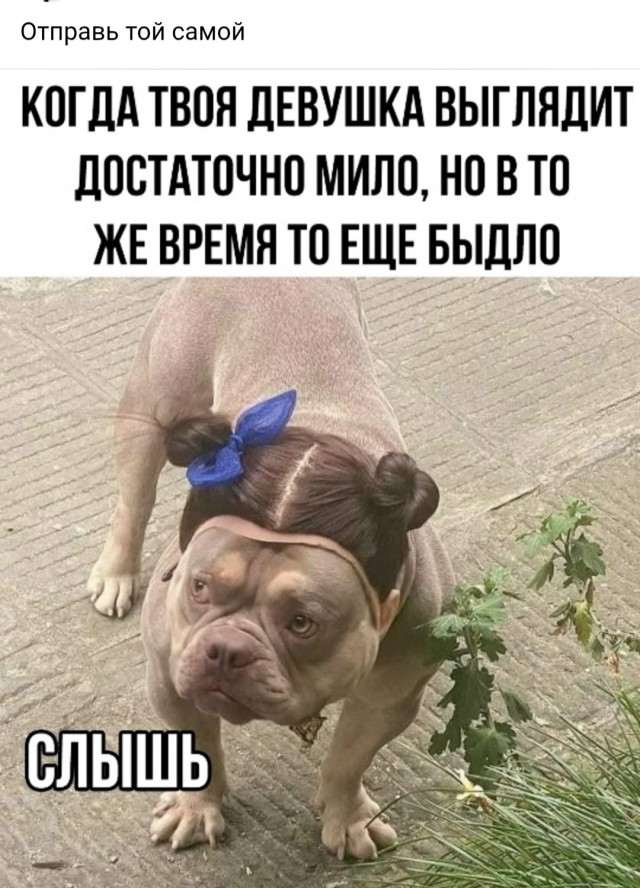 Веселое настроение в картинках (17.10.2025)