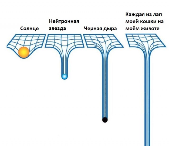 Среда обитания 0.2