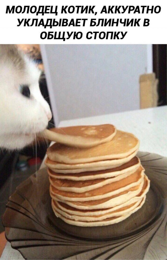 Среды картинки