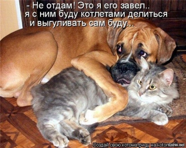 Пока не подружились