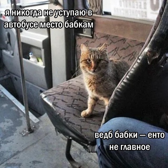 Улыбательные картинки