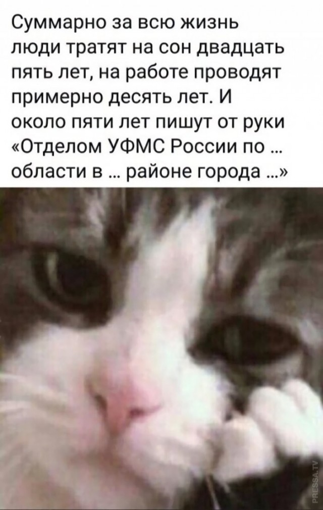 Веселые картинки в понедельник (18.05)