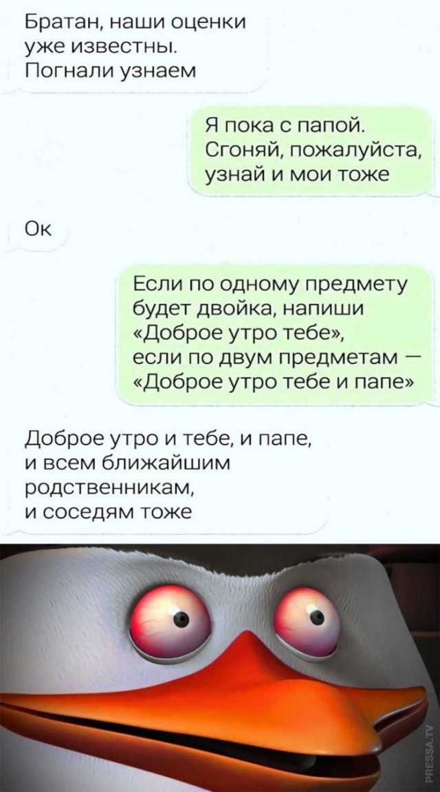 Веселые картинки в понедельник (29.06)
