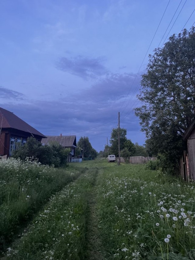 Летний вечер в деревне