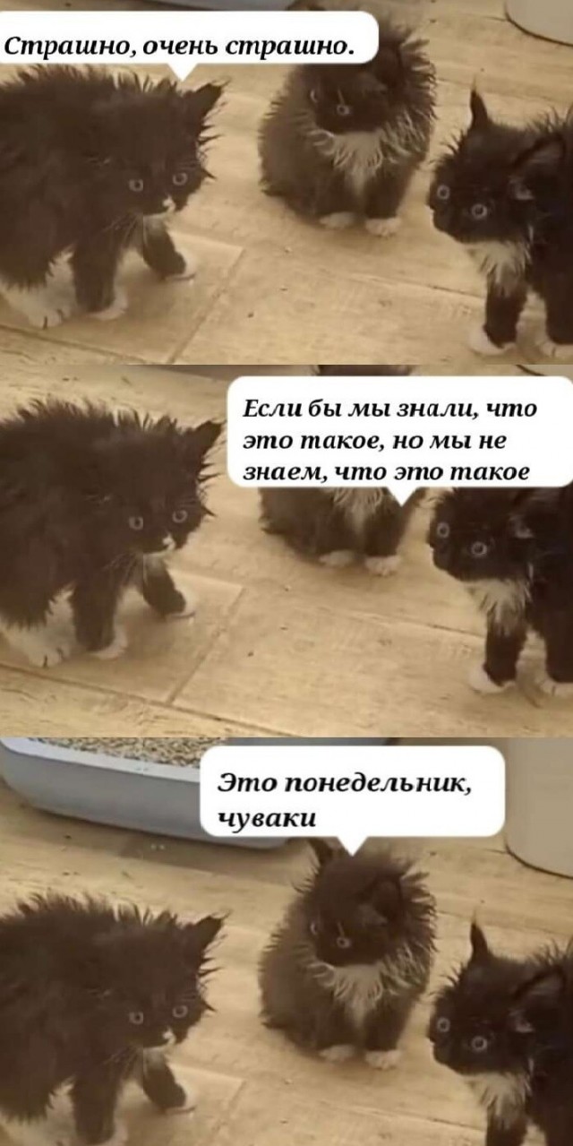 Очень страшна
