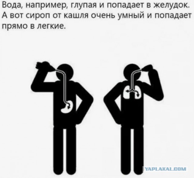 Ученые победили облысение