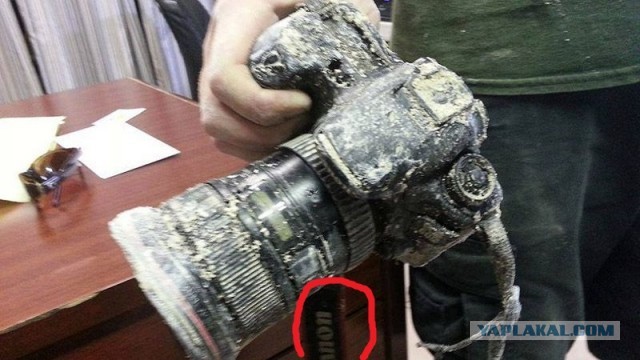 Съеденный аллигатором фотоаппарат вернули хозяину