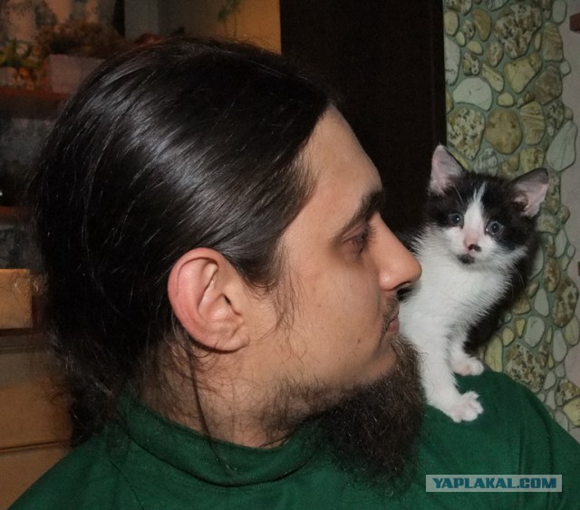 Котовторник 22.10.2013
