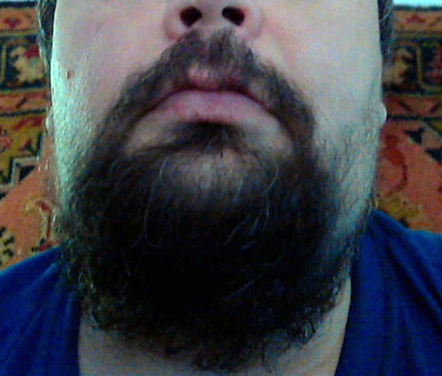 Выращиваем бороду в комнатных условиях