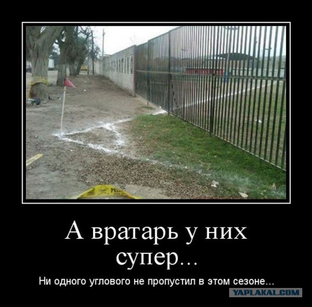 Опять этот футбол,горячая бразильская болельщица