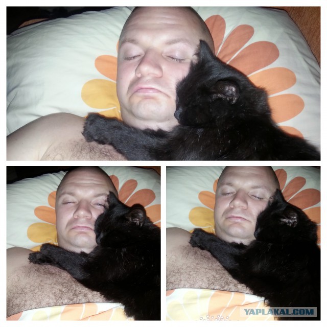 Кот Митяй!