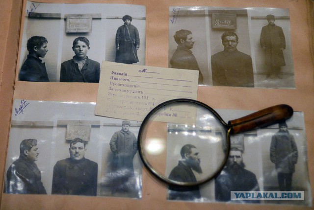 Медаль за пьянство, людоедство и "Черная кошка"