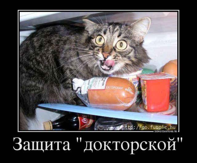 Смешные комментарии из социальных сетей 11.11.2014