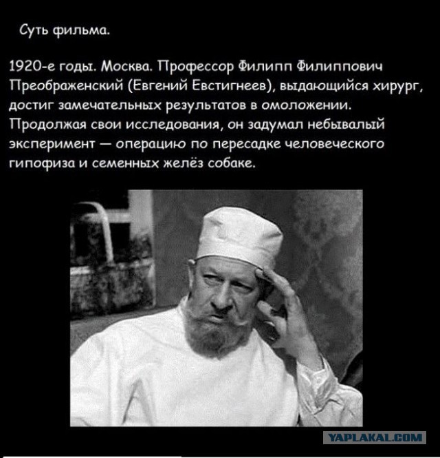 20 фактов обо всем