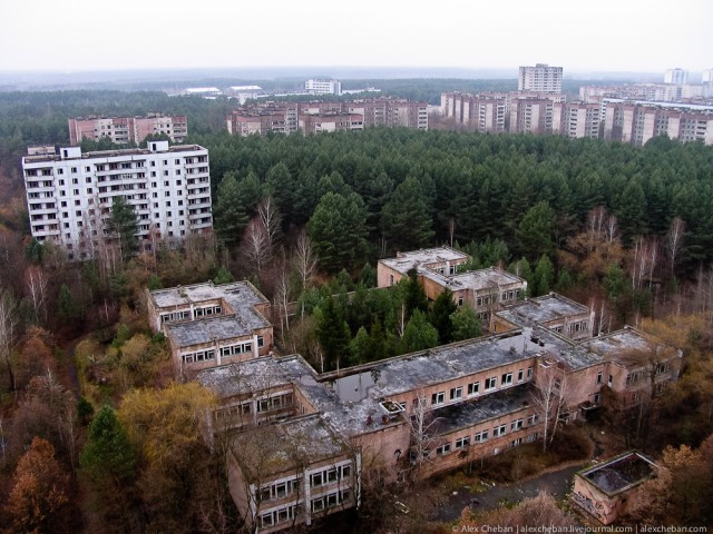 Землетрясение в Японии (фото, видео)