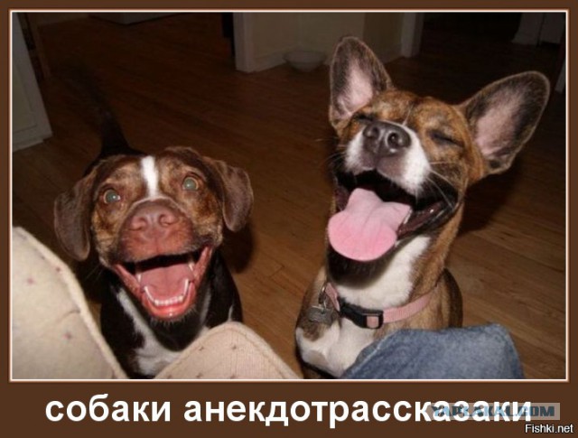 Забавные картинки из сети