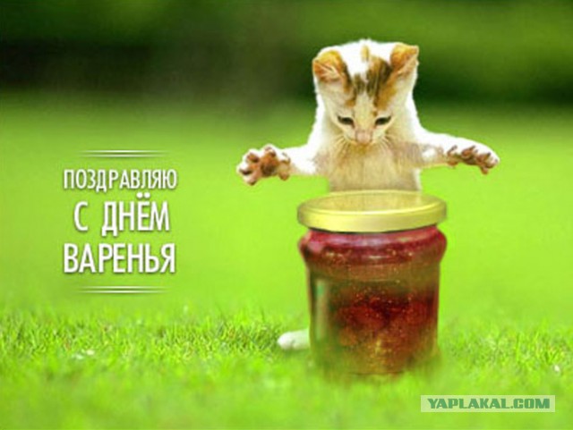 ЯП, С Днём Рождения !