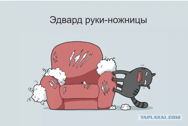 Класификация котов в картинках
