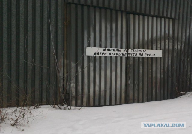 Подборка прикольных фото на пятницу