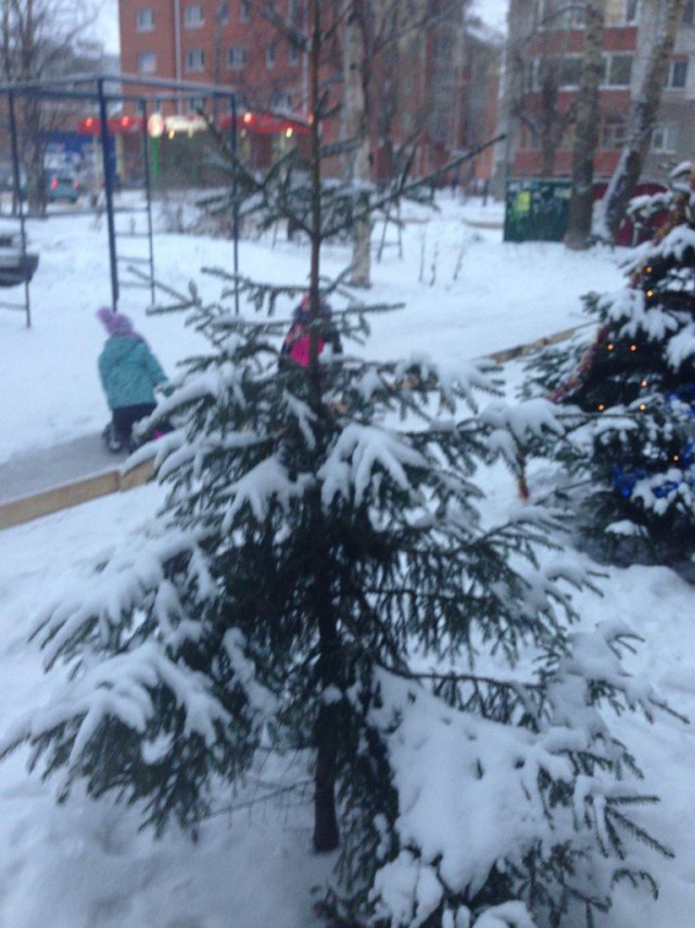 Пост про быдло.