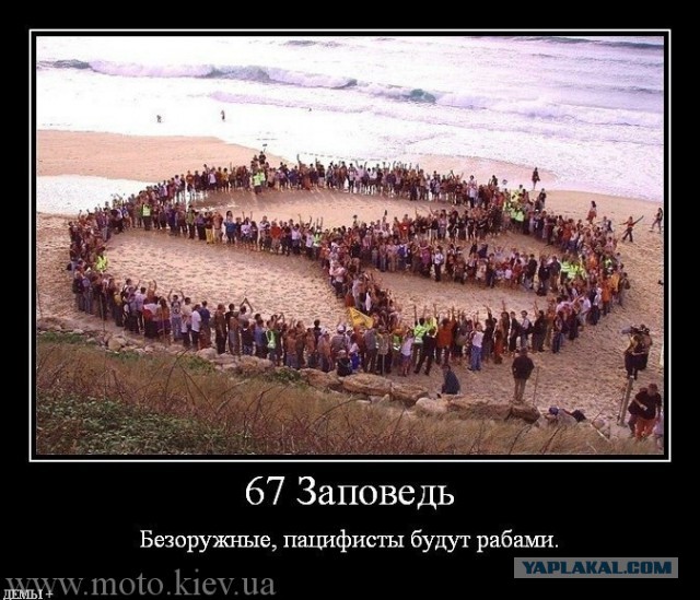 14 слов 88 заповедей
