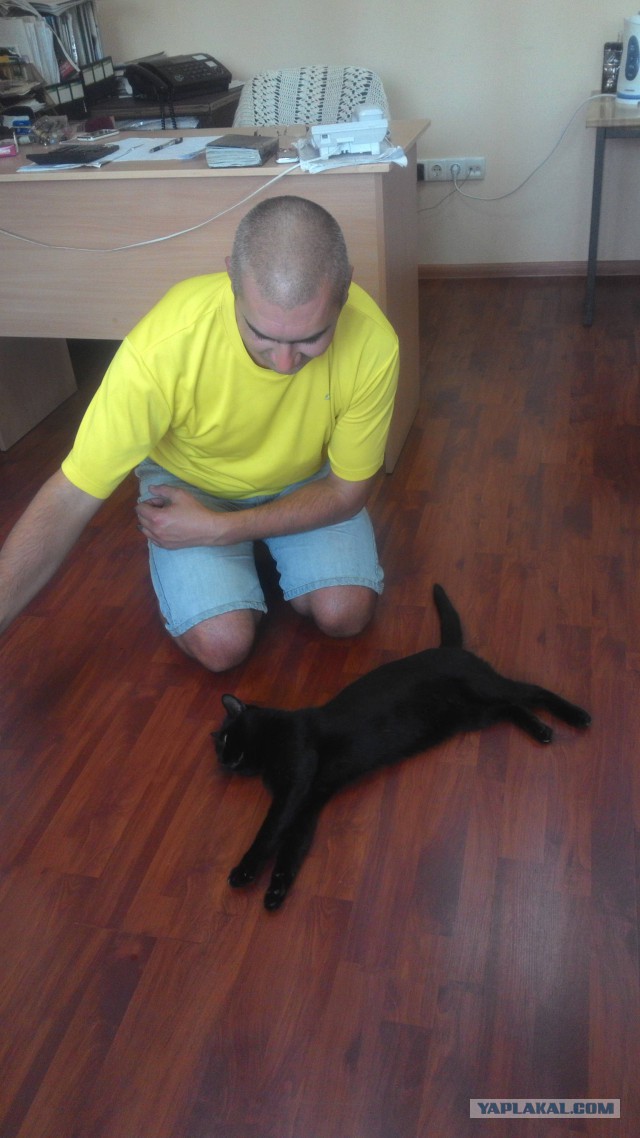 Те, которым мы помогли.