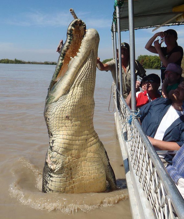 Для поднятия настроения - 5