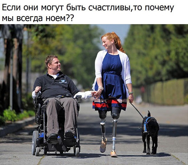 Порция картинок из сети