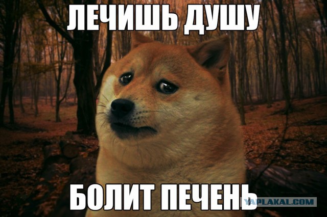 Смешные картинки из сети на 26.10.16