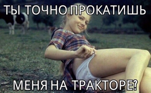 Порция картинок