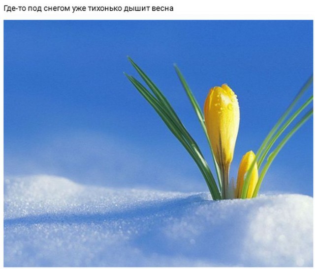 33 фотки отпадныхъ на вторник!