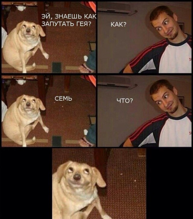 Ужасы и приколы из соцсетей 18+