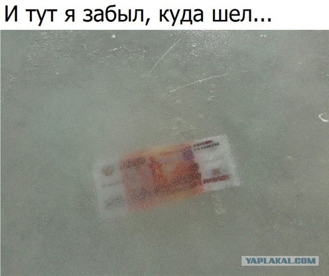 Подборка интересных и веселых картинок