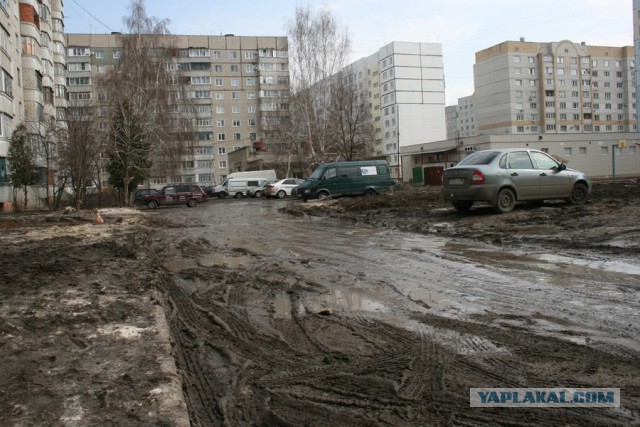 Госдума запретит безответственный выгул домашних питомцев