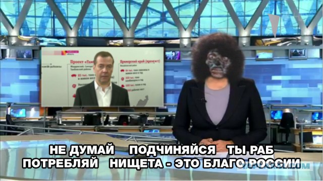 Володин выступил против проверки фактов из расследования ФБК о Медведеве