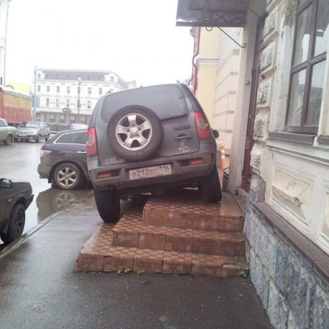 Подборка безудержного веселья