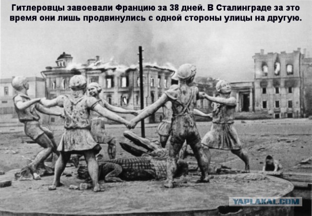 Итальянцы смотрят клип "Кукушка"