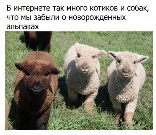 Всякие разные картинки