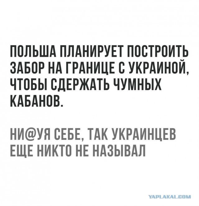 Смешные комментарии из социальных сетей 21.07.2017