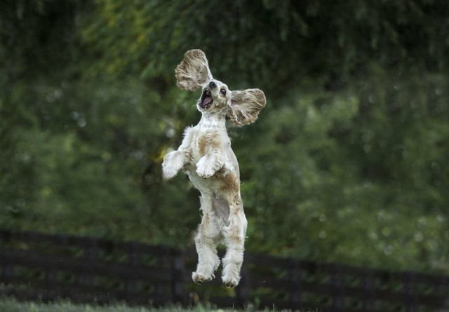Подборка интересных и веселых картинок