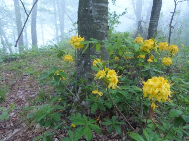 По дороге с облаками